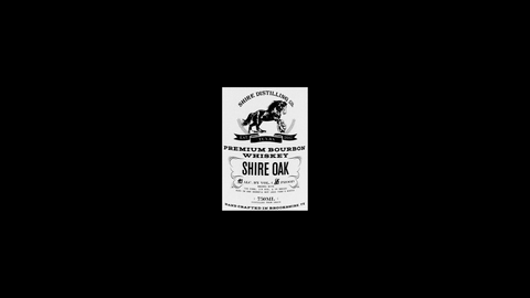 Shire Oak Percheron