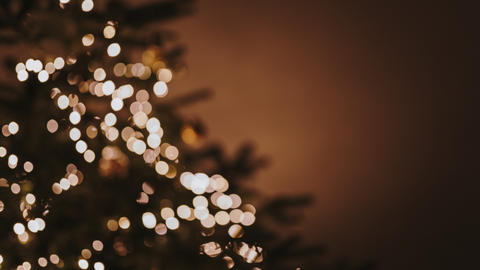 Advents-Sepcials für echte Whiskeyliebhaber